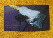 Genuine Native Arts